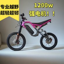 铝架1200w性能电动越野车 林道电摩前后气减两轮成人代步车闪速