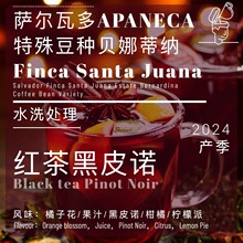 玩豆新品萨尔瓦多特殊豆种贝娜蒂纳水洗红茶黑皮诺橘子花柠檬派