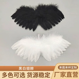 羽毛、羽绒;除尘掸;扇子