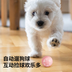 Star Rolling Ball Cat Toy Self-Entertainment Relief Cat Toy Pet Bite Resistant Toy Pet Supplies Wholesale