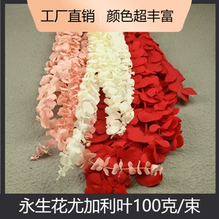 幻花永生花尤加利叶100克/束情人节diy材料家居插花瓶手工配材
