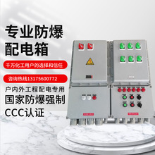 防爆配電箱動力照明接線電源櫃鋁合金儀表按鈕控制插座檢修箱