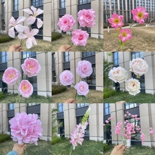 Ϫ 2025Ʒ ɫϵ  cY滨l