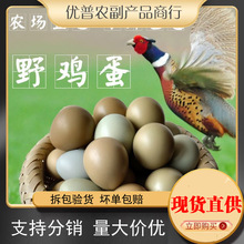 ����60ö�����߲ʾG��ɽ�u�����u������b���rɢ�B���u��