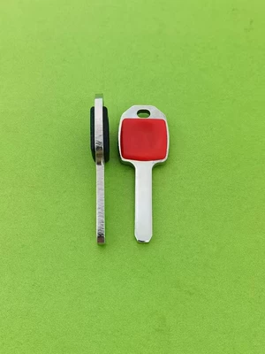 Dyna, Ha Lei Motorcycle Key