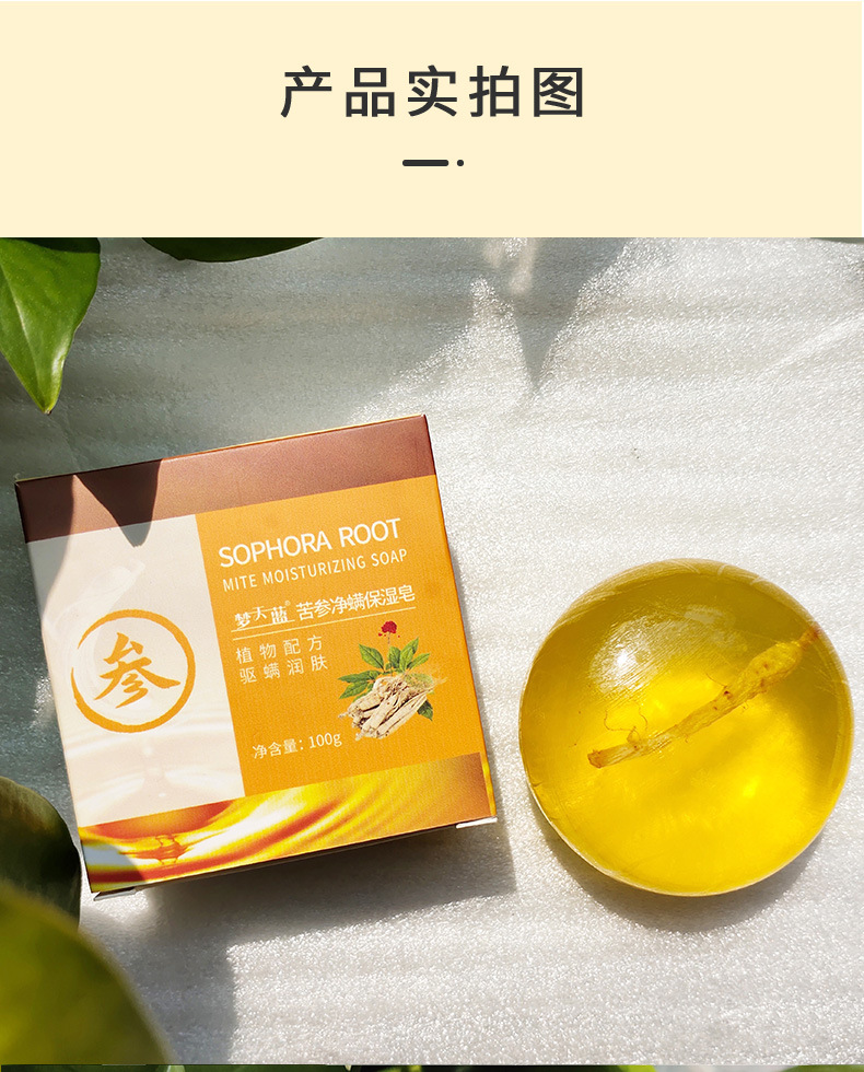 苦参_14