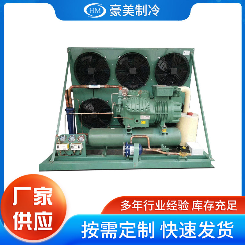 德国比泽尔风冷式活塞压缩机组制冷30Hp速冻保鲜库冷库制冷剂