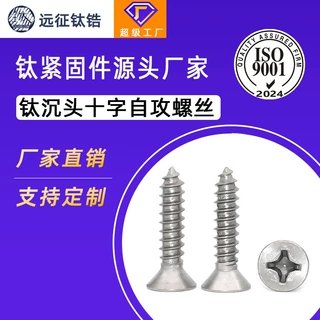 钛合金纯钛TA2沉头自攻螺丝十字平头木螺钉沉头自功螺栓ST23456