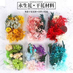 ��Ȼ�������ɻ��ٻ����滨��ͯ�ֹ�diy���ƈF���N�����ϰ��׃��@
