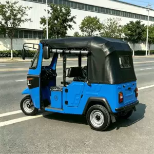 Dudu Sərnişin Üçtəkərli Motosiklet, 6 Yerlik, Tuktuk, Afrika Üçtəkərli, Tentli