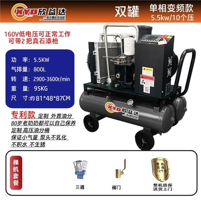 Hava kompressorları — Air Pump - single-item-55kw10-pressure-frequency-converter-with-2-guns