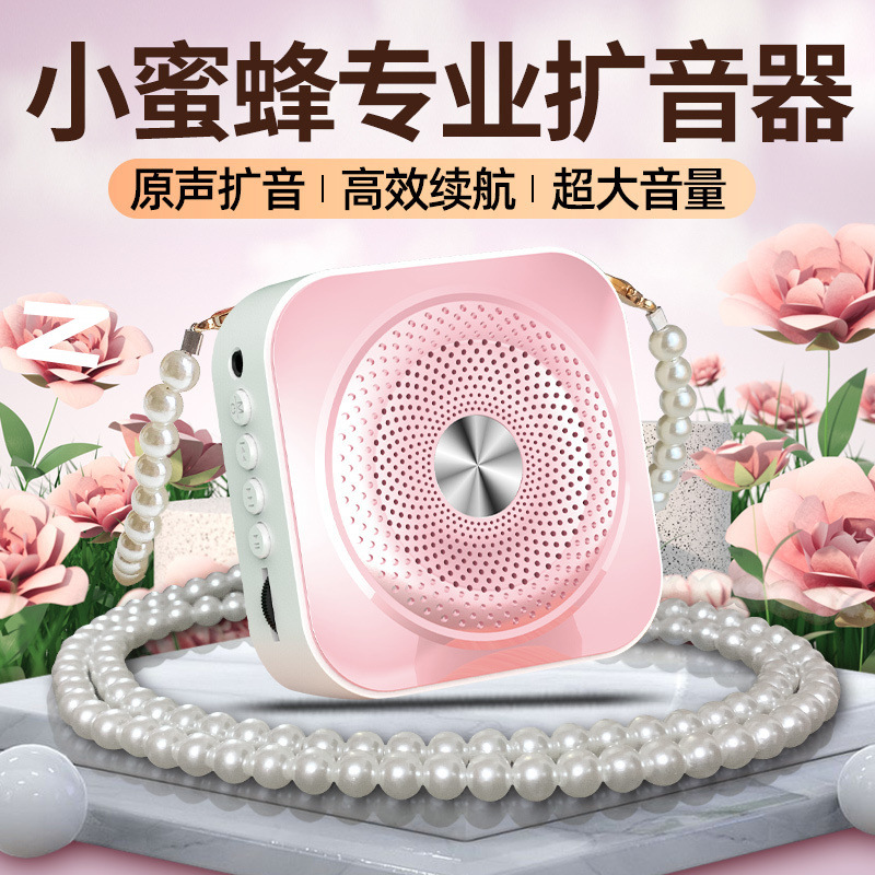 Little Bee Microphone Teacher's Special Small High Volume Selling Speaker Street Stall Promotion Portable Amplifier