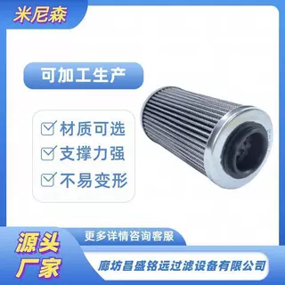 420956744庞巴迪摩托艇机油滤芯420956741滤芯
