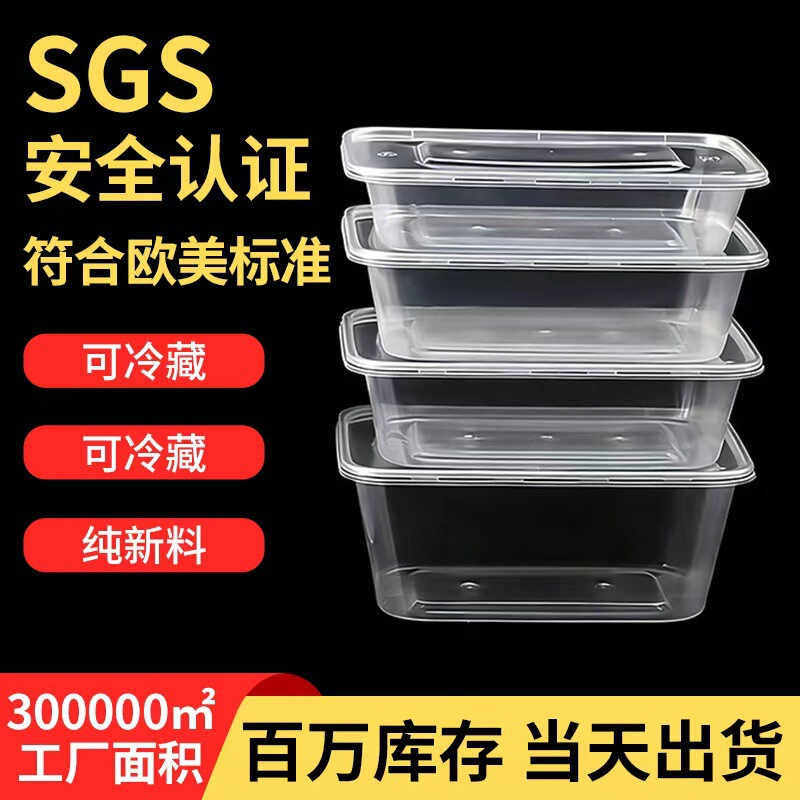 Rectangular Disposable Lunch Box, Transparent and Thickened, Fruit Takeaway Packaging Box, Spring Outing Picnic Box, Special Lunch Box for Stall Setup