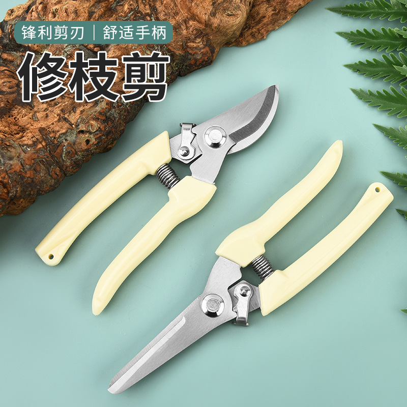 ステンレス鋼の枝はさみ、園芸用剪定ばさみ、手作りの花はさみ、果物と野菜の摘み取りはさみ、多機能はさみ|undefined