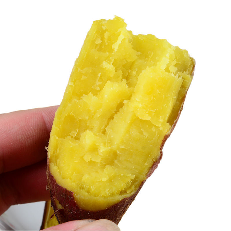 【红薯批发】板栗红薯新鲜地瓜蜜薯沙地黄心香小番薯蔬菜2/5/10斤|undefined