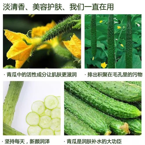Cucumber Soft Film Powder 1000g, Brightening, Hydrating, Firming Film Powder, Smoothing, Spot Removing, Softening Cucumber Mask Powder