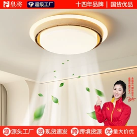 风扇灯;电风扇;吊扇