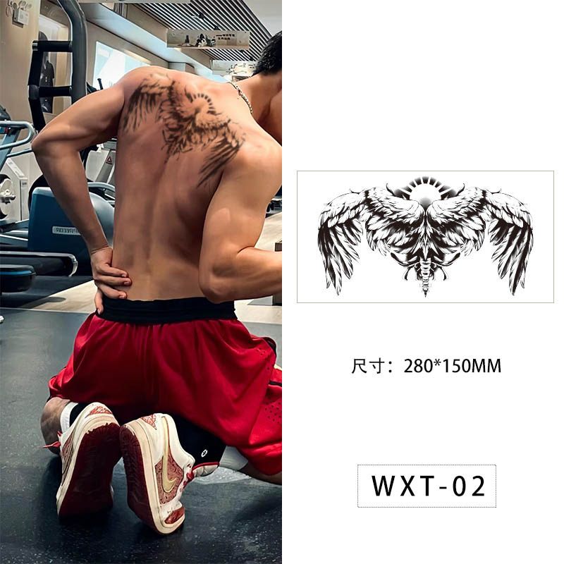 WXT-02 / 280*150MM