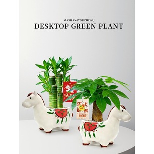 �R�����X���԰lؔ��G�}�Gֲ�����辰С�Rֲ��[����ؔ���\�ͶY��