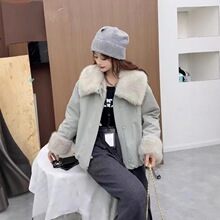 �Ӻ�Ƥëһ�wС����ëë����Ů�b2025�����¿�ɼӽq���I������