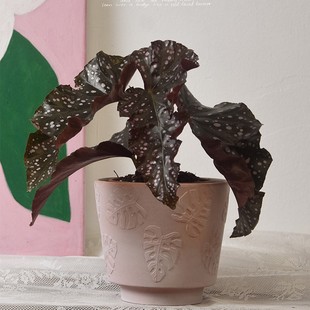 �S��ֱ�N����t�ջ��踡���~�ӏ͹ź��s͸��Gֲ�@ˇ�҃Ȼ�������