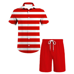 ����վ�羳�ļ� �W�����R�d ��ʽ�M�l�yӡ�������r���Ͷ�ѝ���b