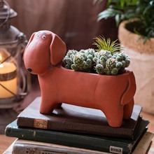 �Ȍ����ﻨ�脓���D�c����ˮ�໨�������̨�b[��ͥԺ