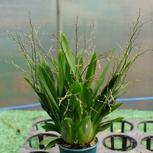 ��ɫ�����m���������ڷ������m�_���������ֺ��B�m������