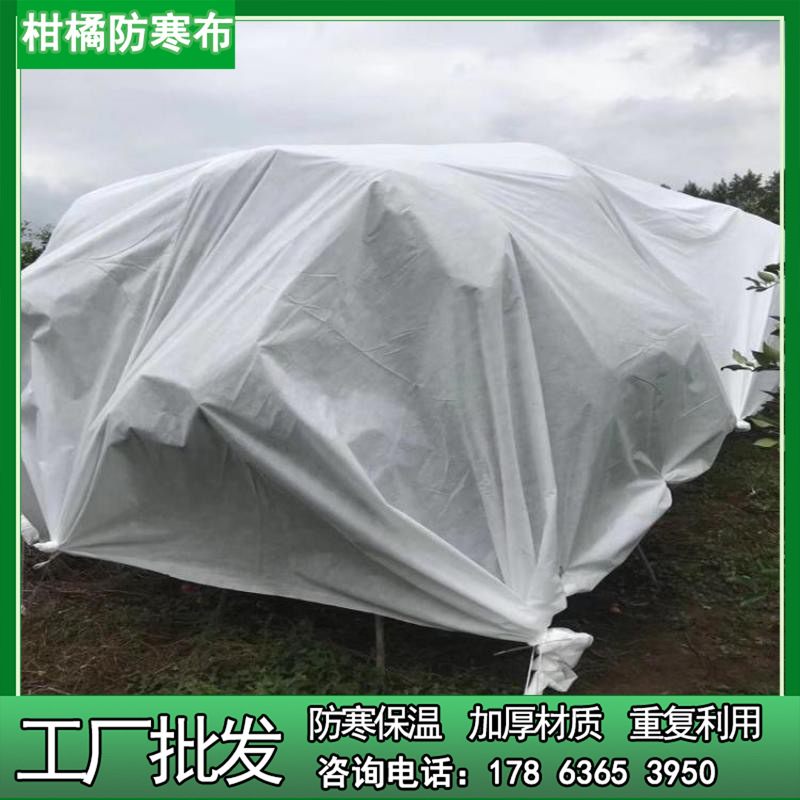 生产城市绿化工程用布 植物柑橘防冻保温防水透气防寒无纺布防护