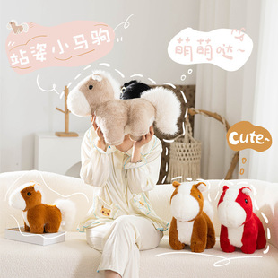 �ɐ۷���С�R�����R�꼪����С�R�xë�q�������[���Y��Ů��