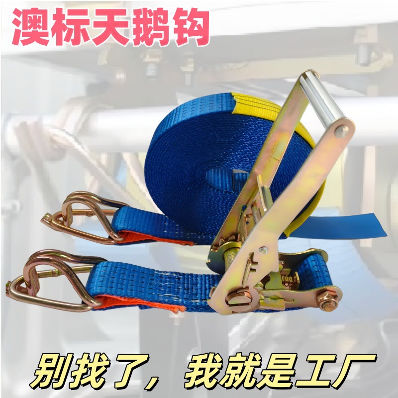批发棘轮货物捆绑带天鹅钩货车紧绳器外贸专用紧固收紧器拉紧器