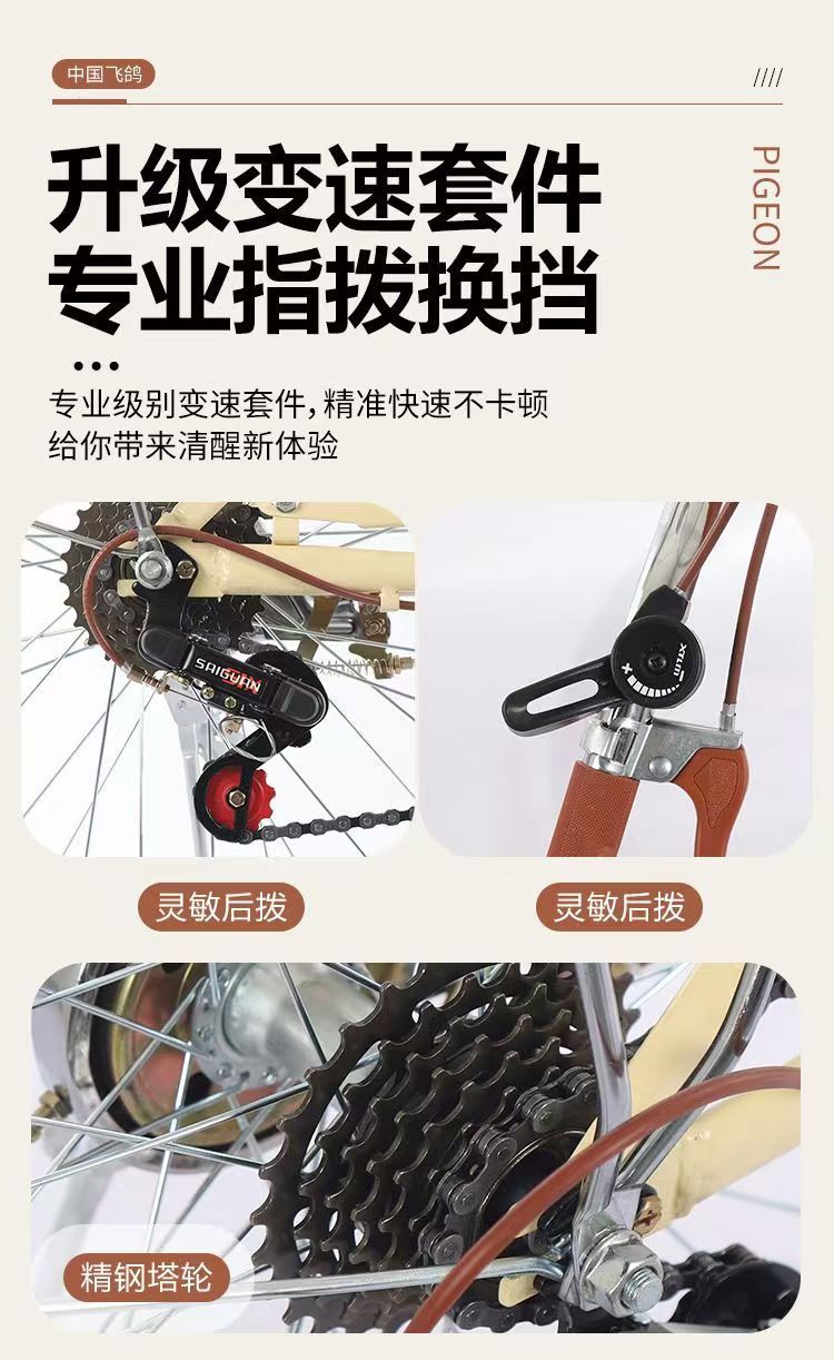 b91f006e-2ec9-470d-b29b-55f19ccfb75e.jpe