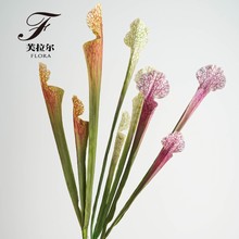 跨境工厂直销瓶子草猪笼草仿真花绢花胶片保湿手感叶材单支花材