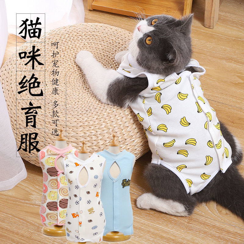 Kitty Sterilization clothes Spring and autumn season Operation Weaning Blue Cat English short Cat clothes wholesale Manufactor wholesale