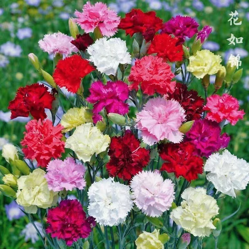 微信图片_20241031183755