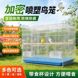 亚马逊跨境喷塑鸟笼鸽子兔子鹦鹉鸟笼豪华方形带食杯饲养宠物笼