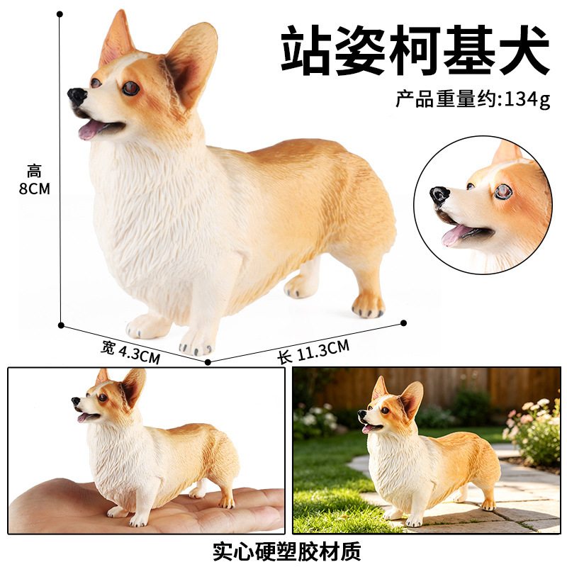1089 Corgi de pie