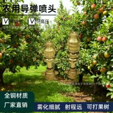 导弹喷头农用打药机高压电动喷雾器可调节雾化远程机动果树喷头园