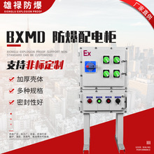 開關電源箱BXMD 防爆配電櫃接線箱防爆控制箱防爆動力箱