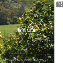 Almond Sweet MͻAֲԭl