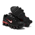 Black red tick