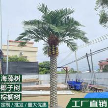 ���溣����Ӽ{������� �����Θ��@�̈������@Ҭ�Ә侰�^���b�