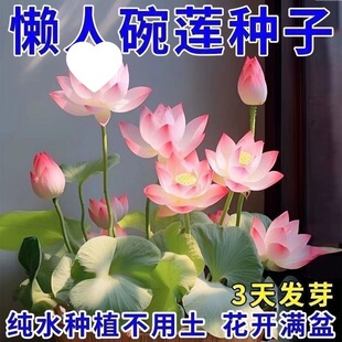 ��ɏ�N�߲������ɫˮ�໨��ˮ�B�ļ�ɏ���ɻ���ɏź�Gֲˮ��ɏ��