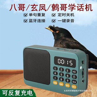 �B�ÌW���C�˸�WԒ�C���B�fԒ���P���x�C�������������Ӗ���C