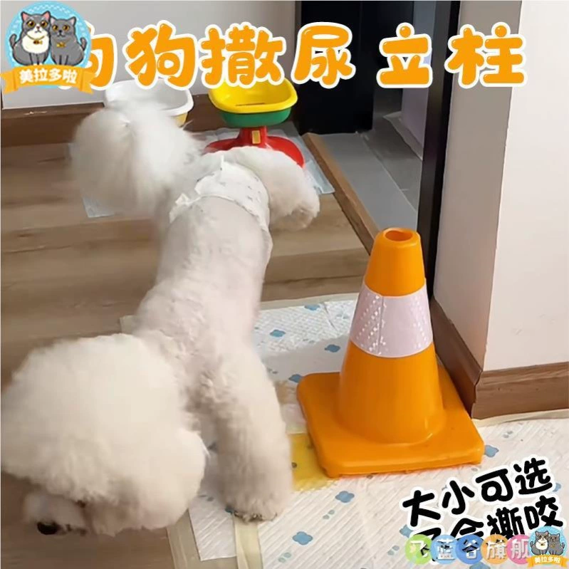 Собачий катетер сосет собачий моче сосет собачий моче унитаз