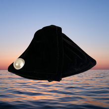 ʽzqץAŮ߼аl~A2025¿̖PlA