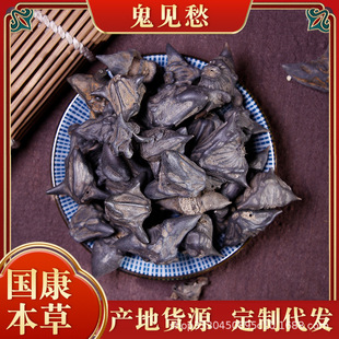 ��Ҋ�����l��ǚ��䱳��ș�Ĵ�ȫ�|�����C��