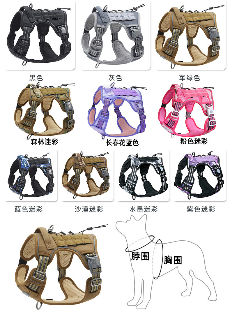 一键复制_20231113150228