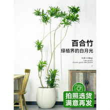 ٺ͏dGֲ߅ٺGֲϘ҃pݴֲ